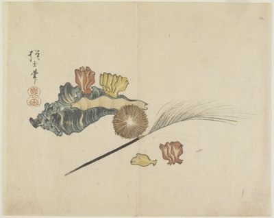 (Muscheln), ca. 1830 von Hogyoku